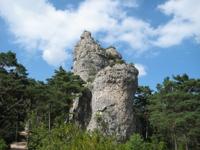 ../Images/2012-07-10-16h28m41 .jpg